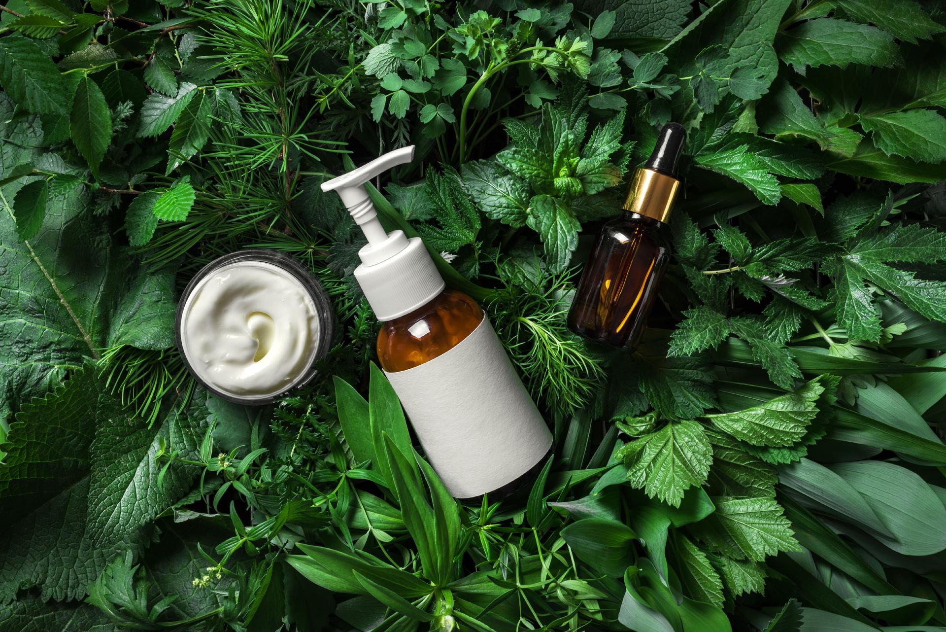 Cosmetic skin care products on green leaves